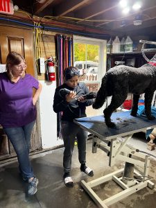 Grooming at Glencadia