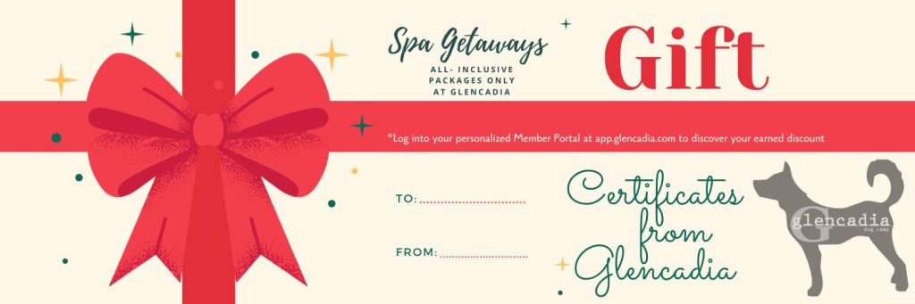 Gift Certificates at Glencadia Dog Camp Gift Voucher Ribbon To and From Spa Getaways Dog Grooming
