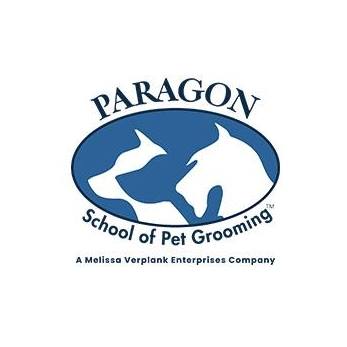 Paragon Pet School Dog Grooming Grooming Salon Spa Glencadia