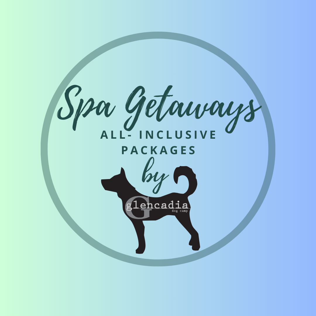 Spa Getaway Packages Country Dog Boarding Kennel Manhattan & Brooklyn